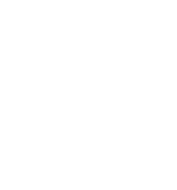 Lemontaps Logo